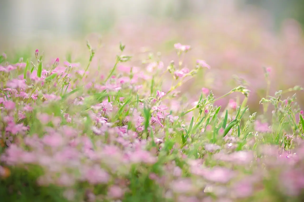 Små rum, stor stil: Indretningsgreb der maksimerer pladsen